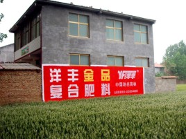 吉首如何让墙体广告展现最大化效果